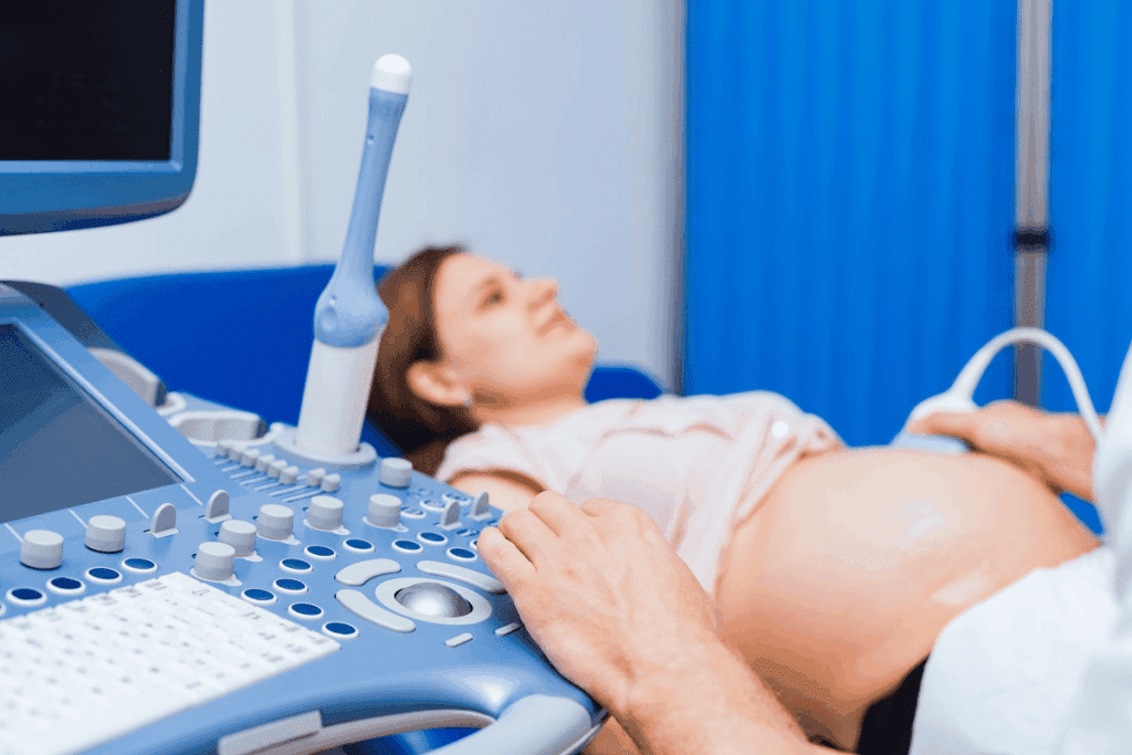 7 Week Abdominal Ultrasound: What to Expect