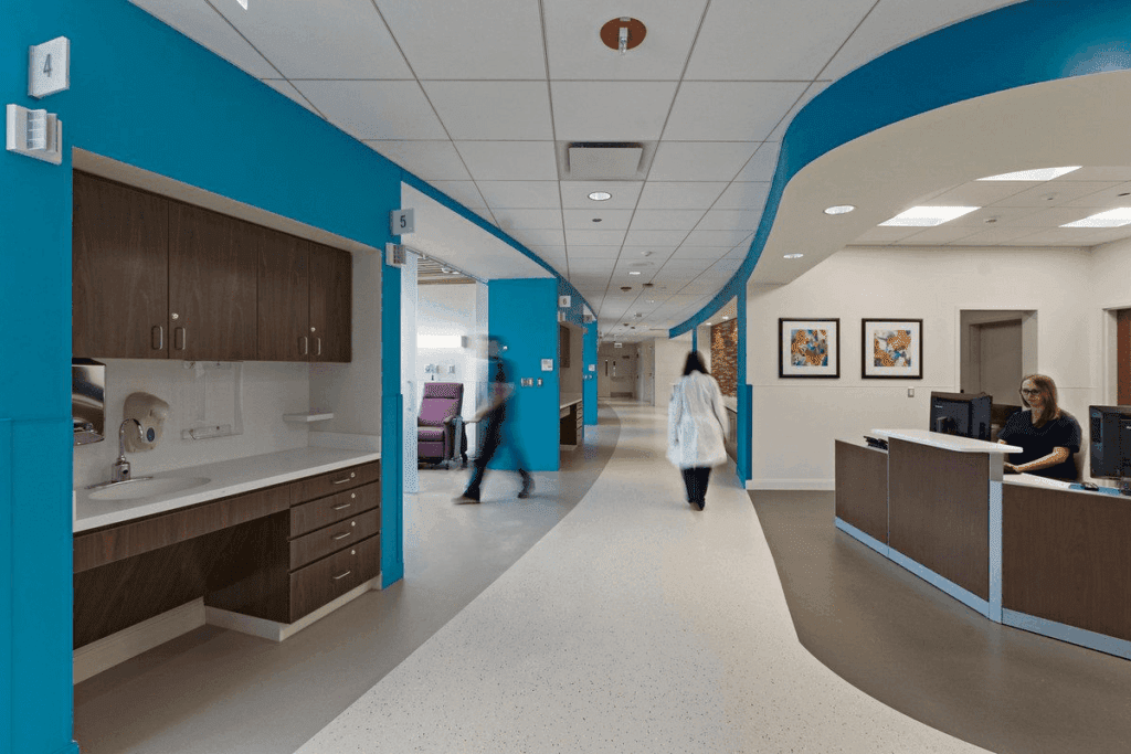 France Obesity Rate 2024: Statistics & Key Facts