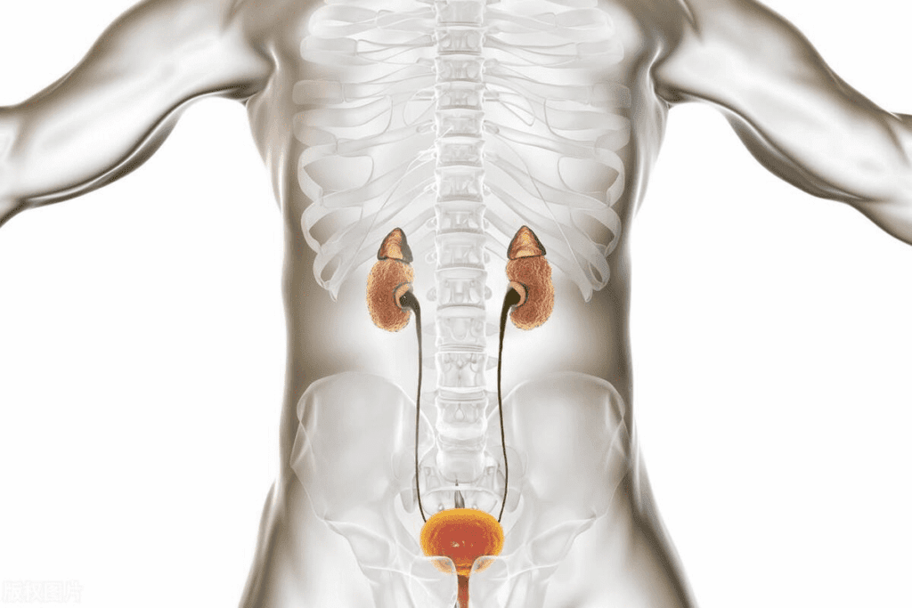 7 Galactosemia Symptoms in Adults: Signs to Watch