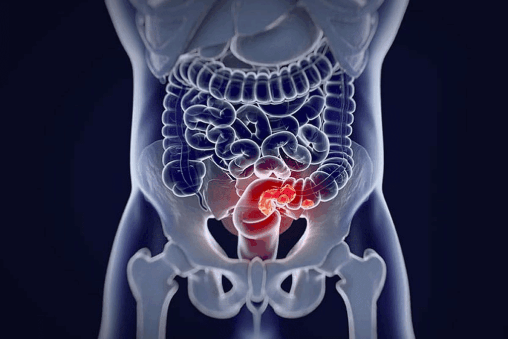How Long Is the Rectum and What Is Its Medical Definition?