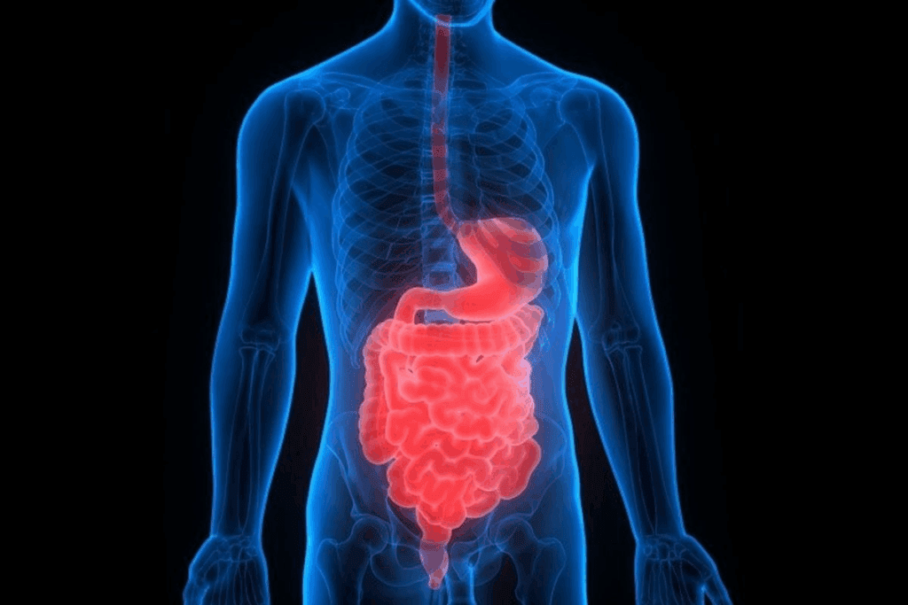 Colon Anatomy: Pictures, Diagrams & Images Guide 3 Colon Anatomy: Pictures, Diagrams & Images Guide