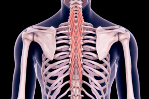 image 6911 LIV Hospital