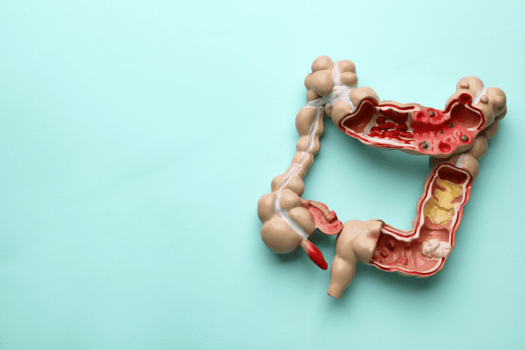 CT Abdomen: Your Ultimate Guide (5 Amazing Facts)