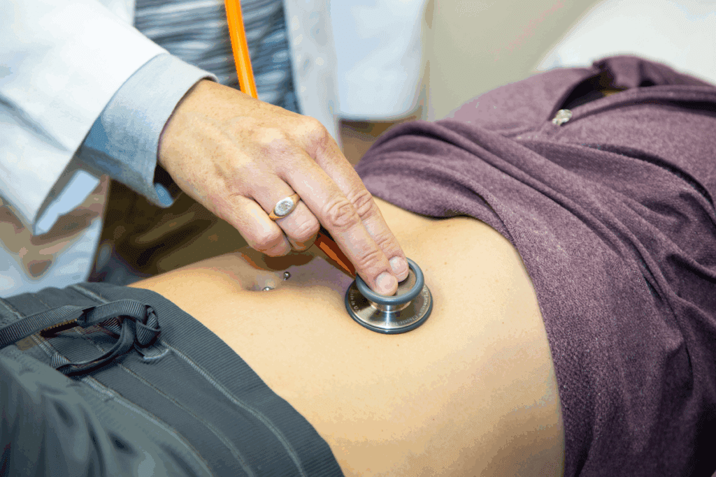 Organs in the Stomach Cavity: 7 Amazing Players