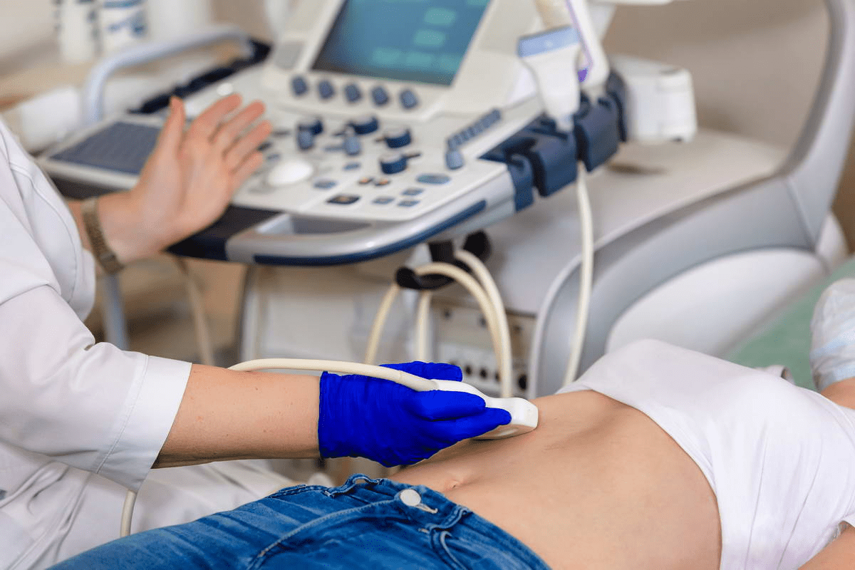 Abdominal Cavity Organs: Your Ultimate Guide