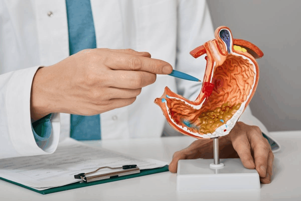Gastroparesis Medication: 7 Best, Proven Options