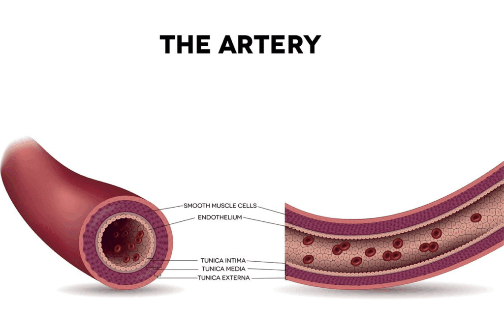 Crucial Threshold for Carotid Endarterectomy Surgery
