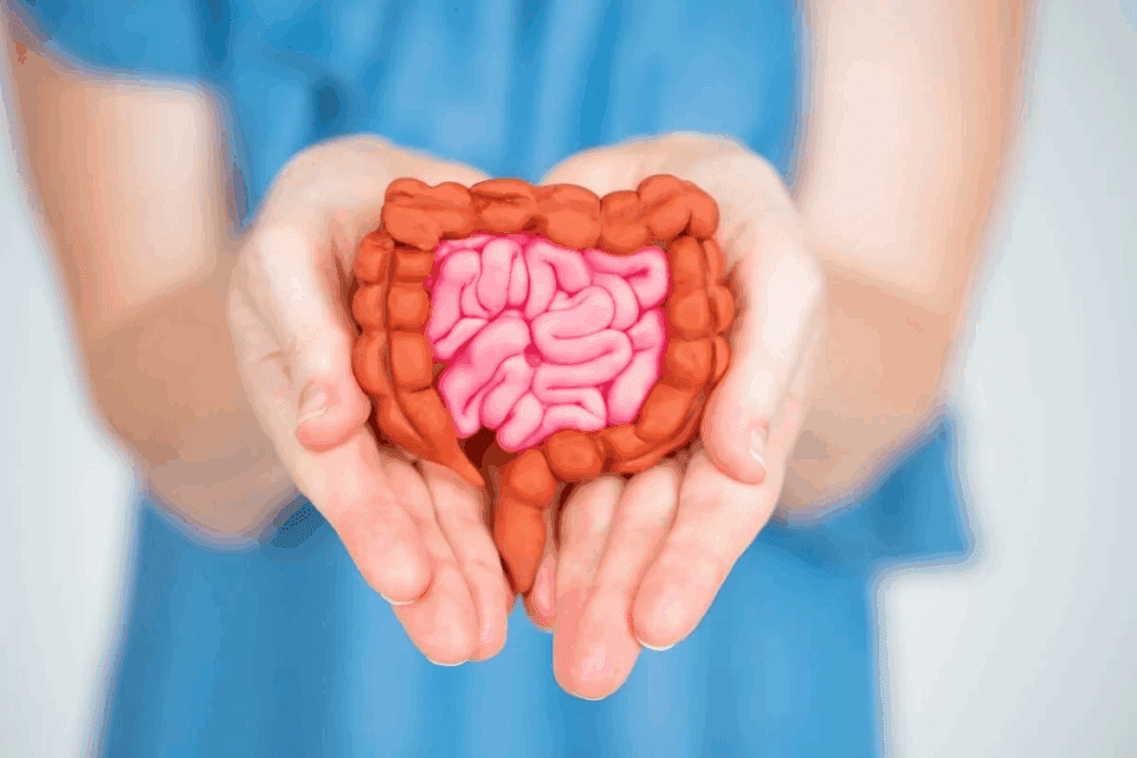 How Long Is the Big Intestine? The Surprising Facts