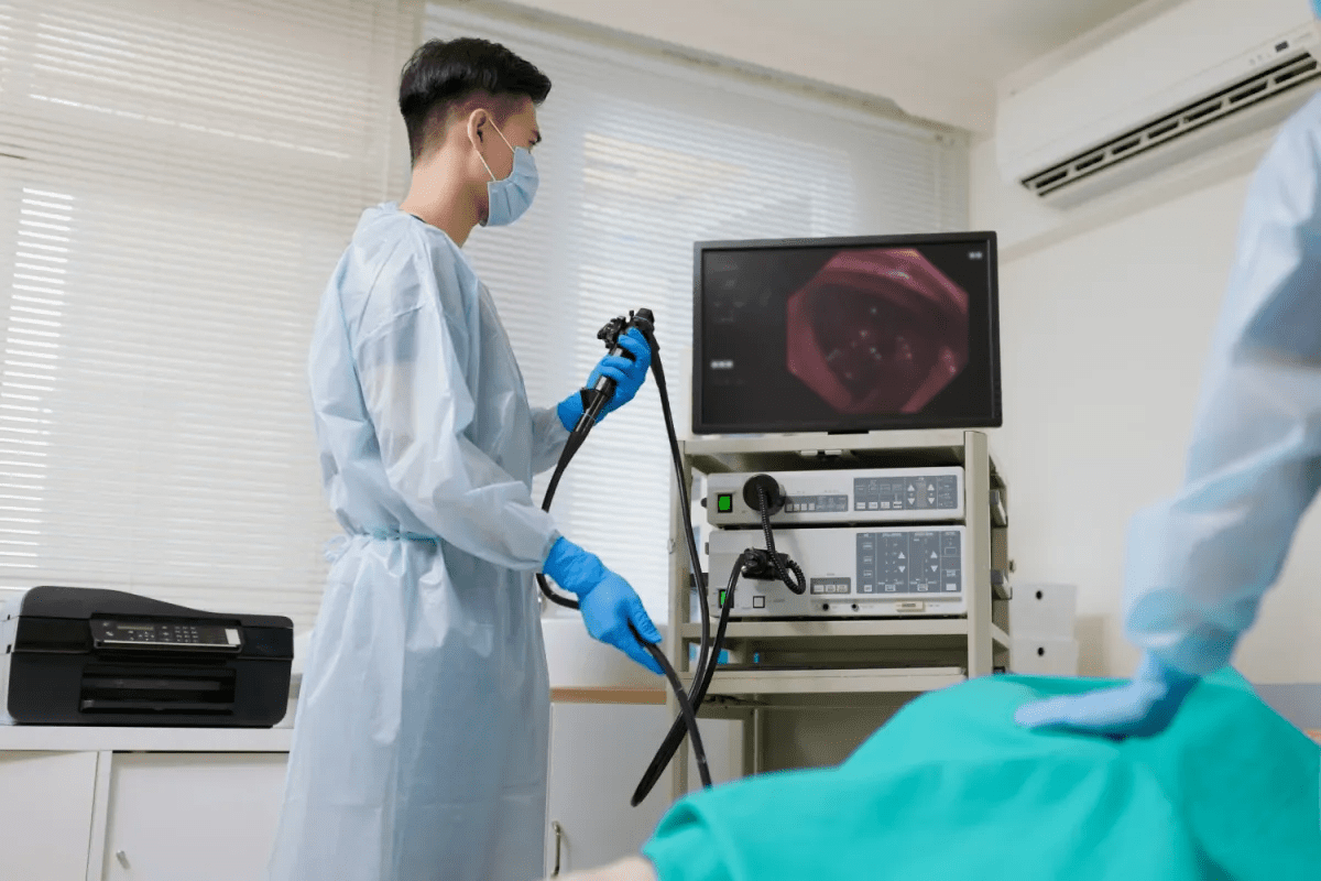 Large Intestine Labeled: Your Ultimate Diagram Guide