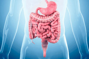 How Do You Know If You Have a Bowel Blockage? 5 Alarming Signs