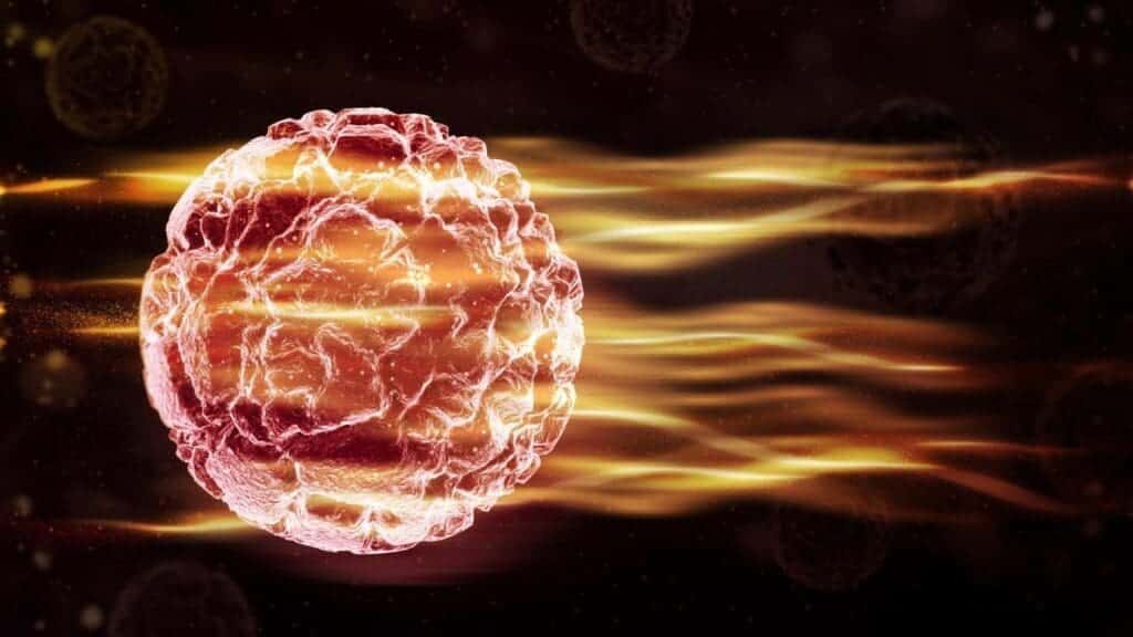 image 65 LIV Hospital