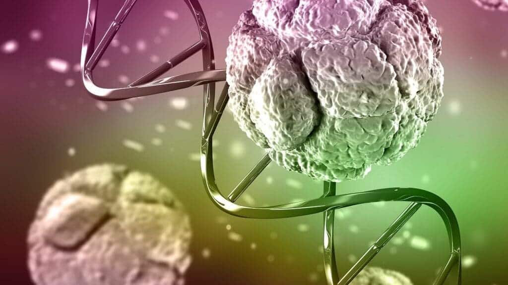 image 22 LIV Hospital