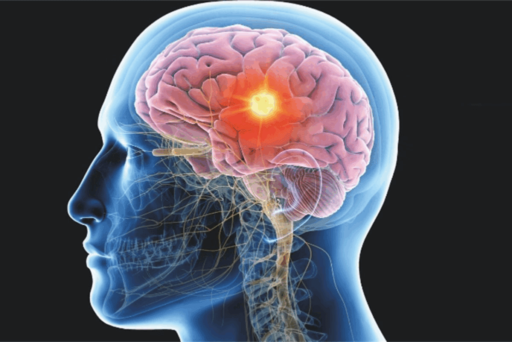 Define: Which Hormone Is Produced By The Anterior Pituitary Gland