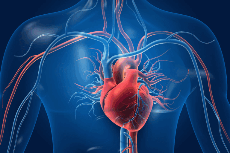 Mucosa Location: Your Ultimate Anatomy Guide