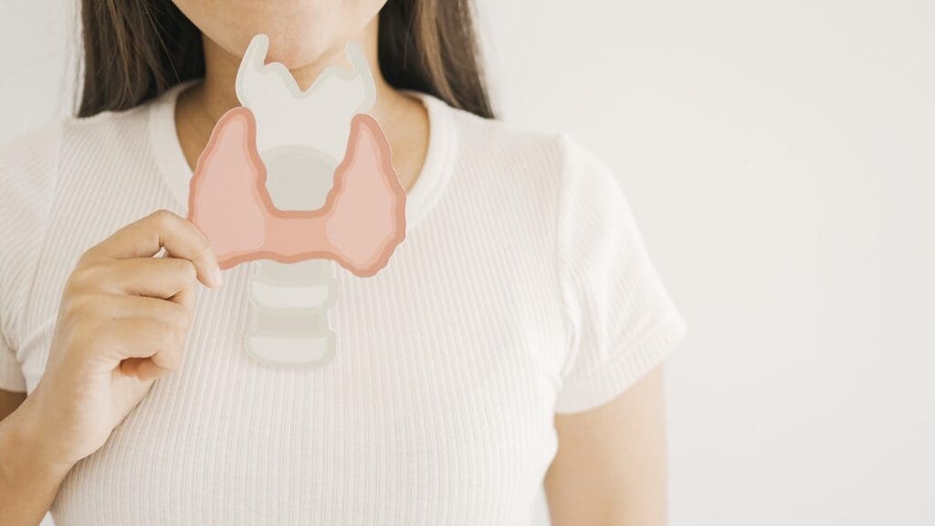 Live Without a Thyroid