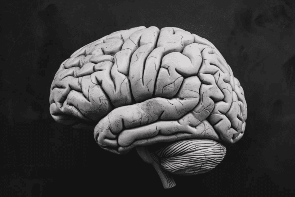 Brain tumor cure: Is 100% possible? Hopeful facts