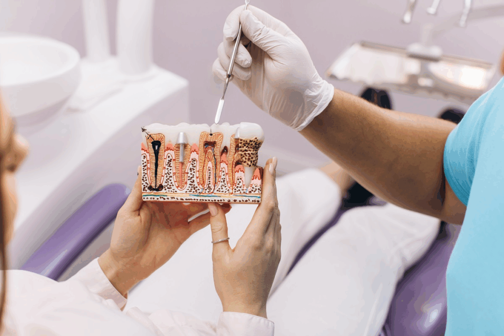 What Is Cadaver Bone Implant For Dental Implants?