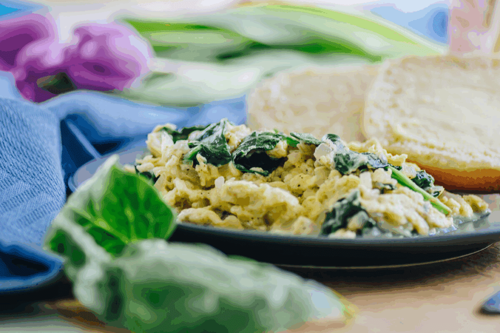 Creating A Post Bariatric Surgery Meal Plan Guide 2 Creating A Post Bariatric Surgery Meal Plan Guide