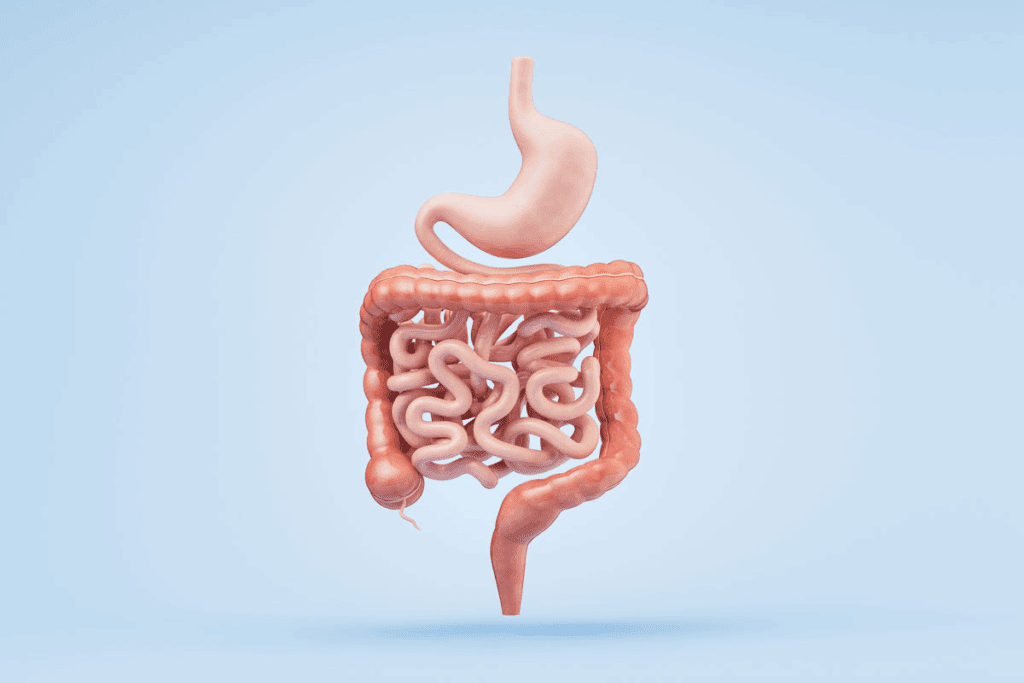 Understanding The Sleeve Gastrectomy Diagram