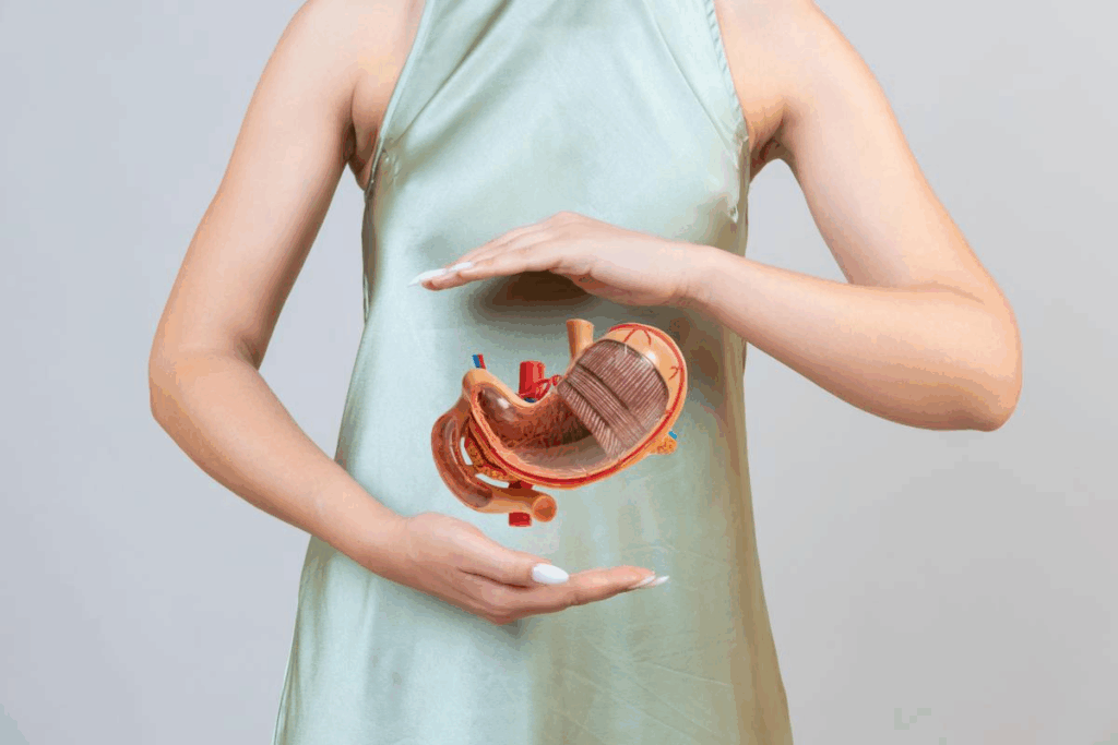 Understanding Sleeve Gastrectomy Anatomy (Vsg)