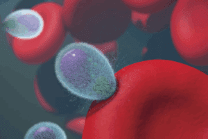 Sickle Cell Anemia Life Expectancy Revealed