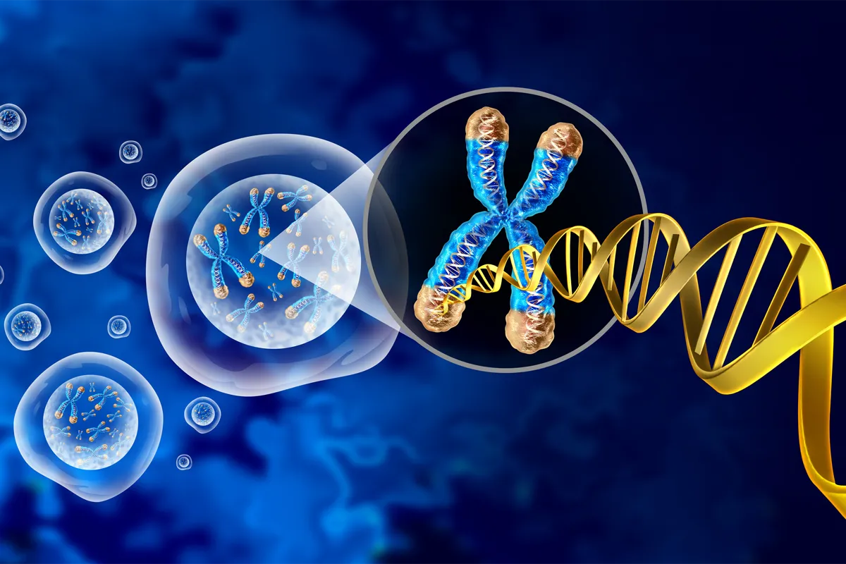 Diagnosis and Evaluation img 4 6 LIV Hospital