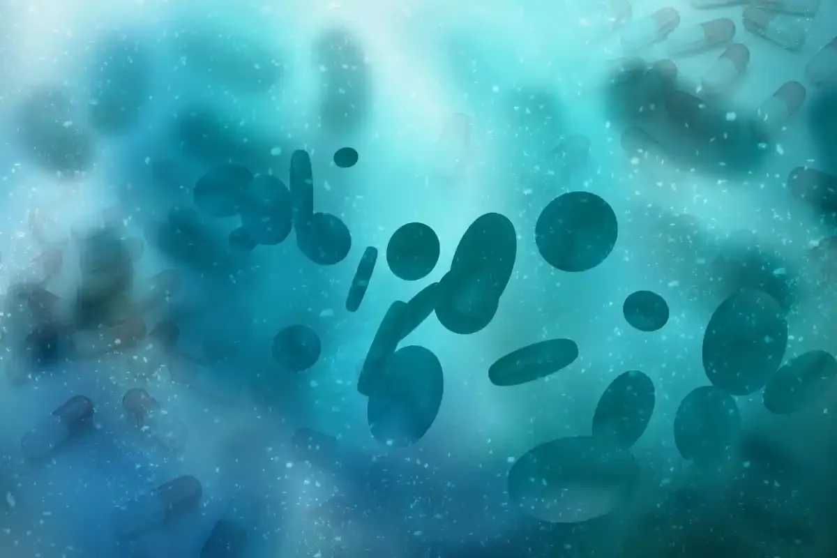 The Therapeutic Spectrum