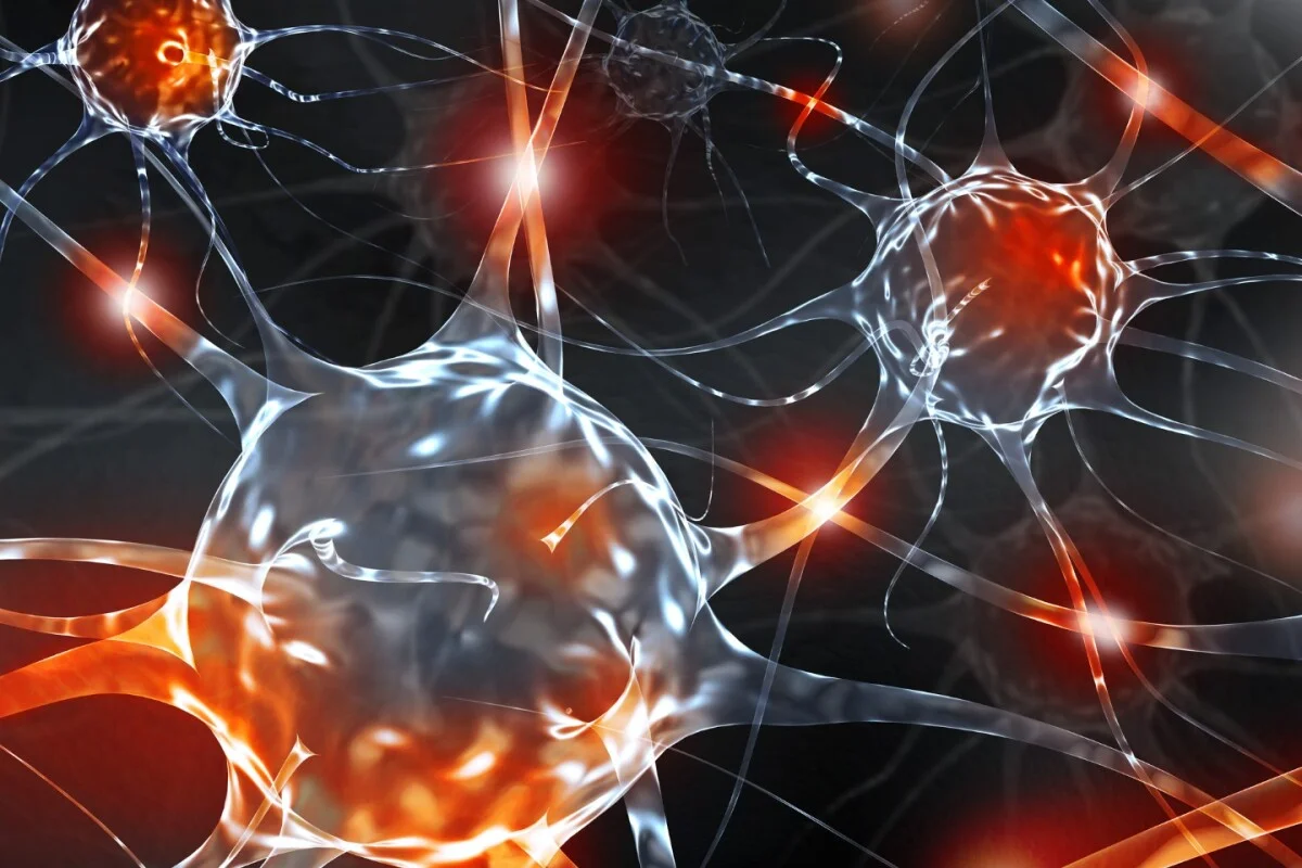 Urodynamics: Evaluating Bladder Function