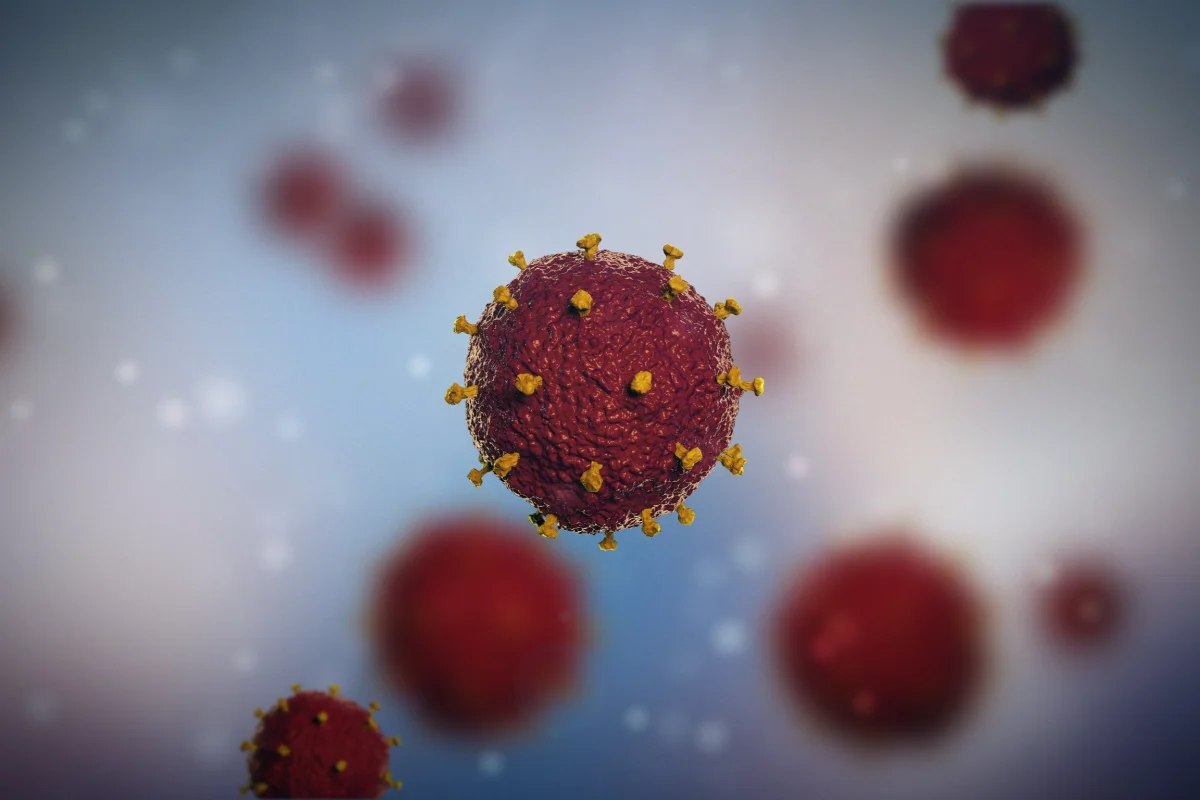 image 2 3398 LIV Hospital