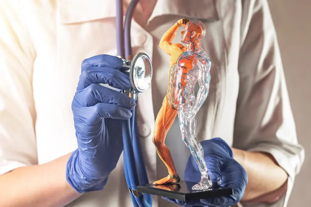 Physiological stages of the condition or recovery