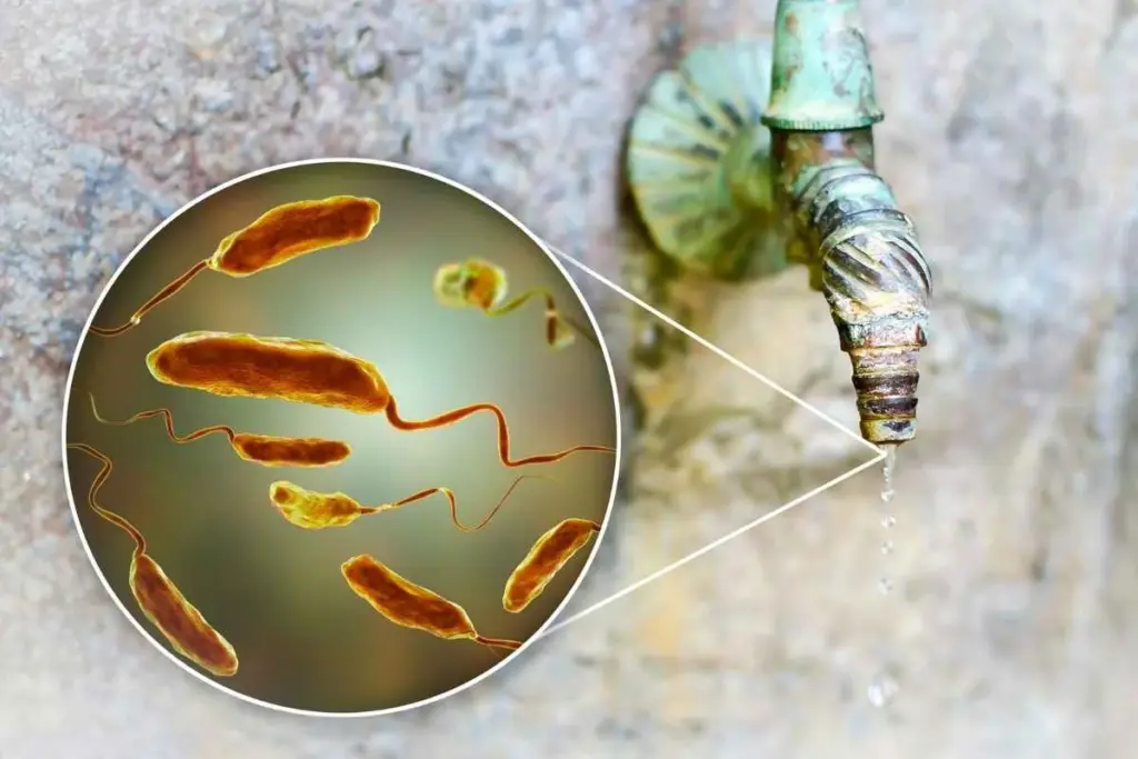 image 25 5 LIV Hospital