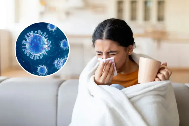 Influenza Symptoms and Transmission