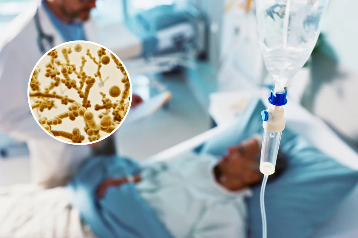 image 5 18 LIV Hospital