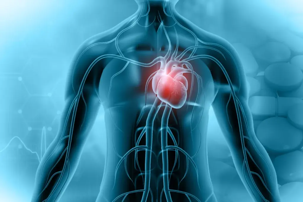 Physiological stages of the condition or recovery