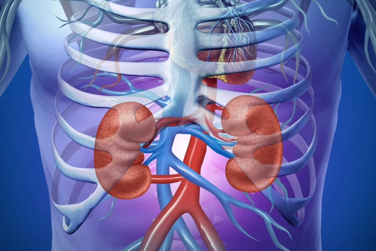 Interventional Nephrology