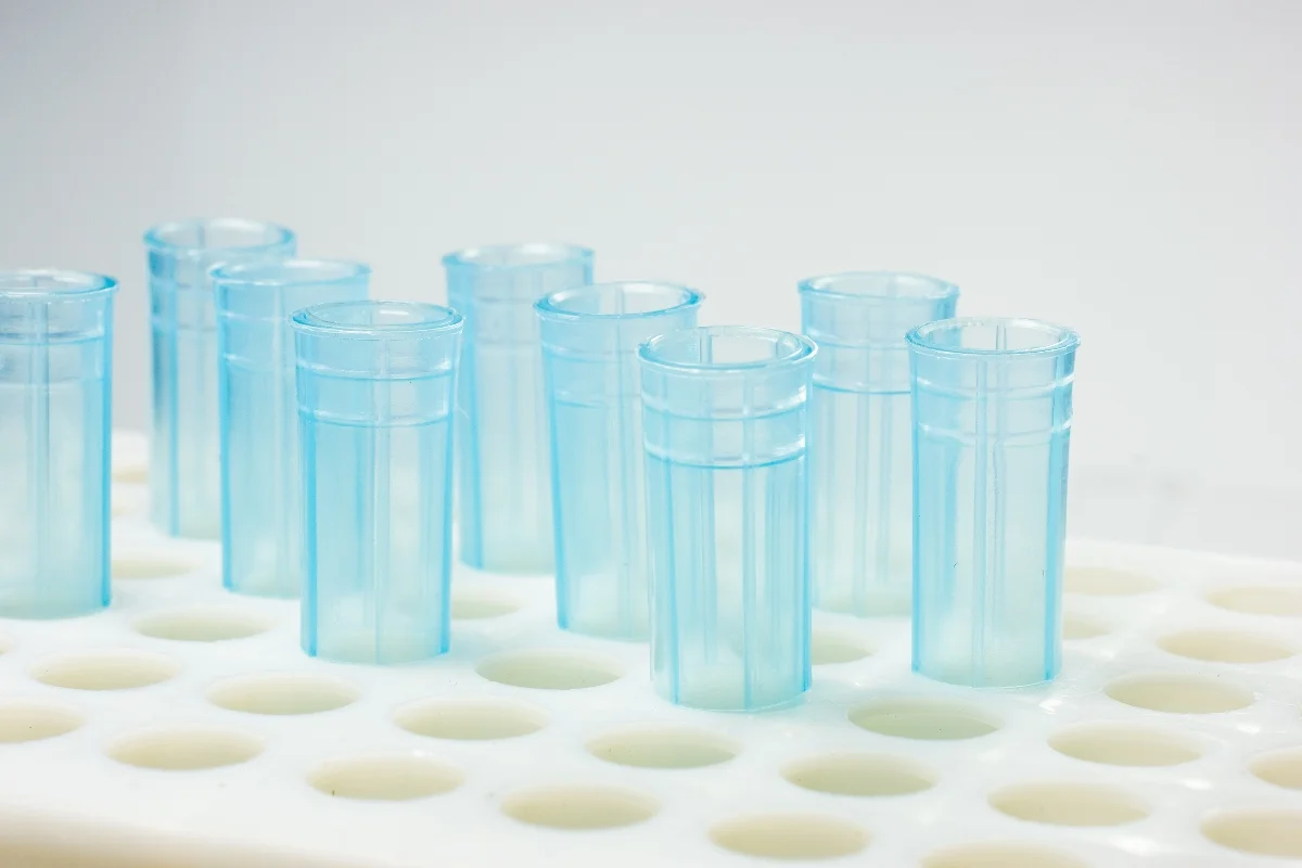 Advanced Imaging and Internal Anatomy