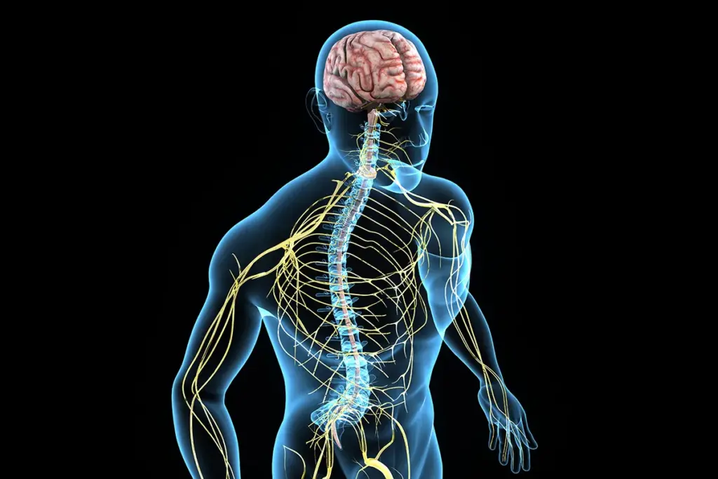 Peripheral Neuropathy: Overview and Definition