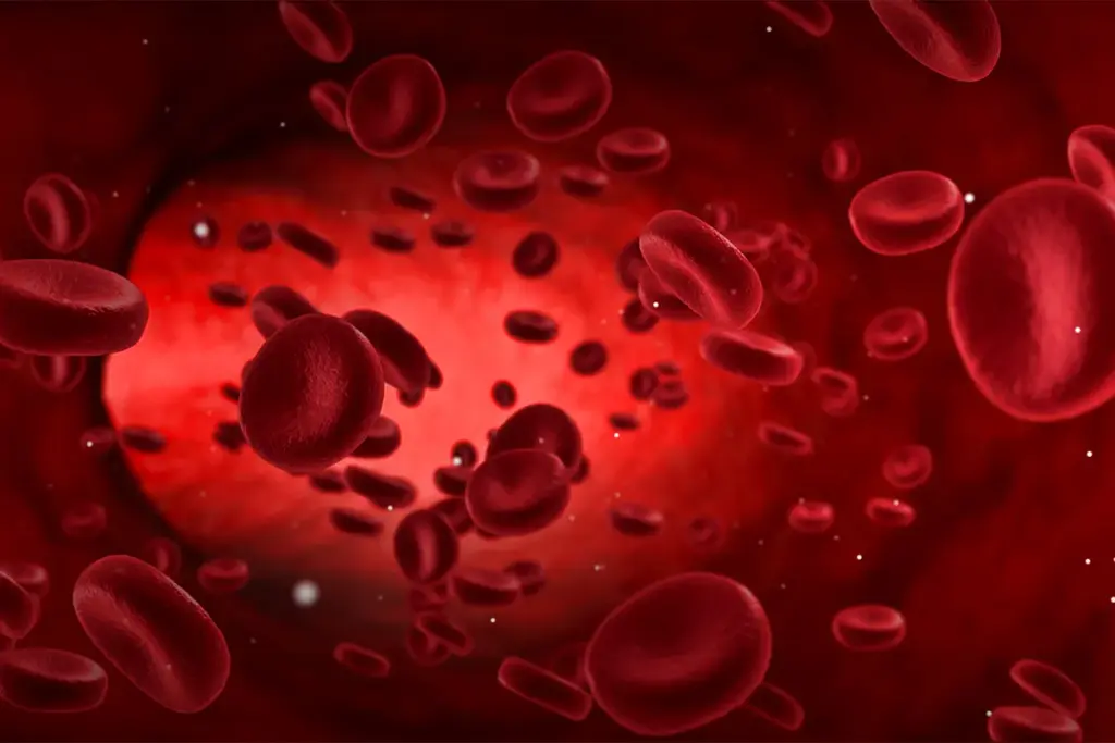 Peripheral Blood Cell Examination