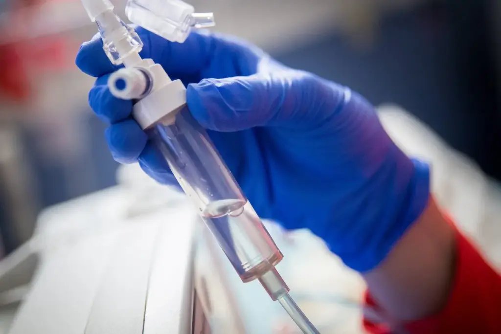 Genetic and Molecular Evaluation