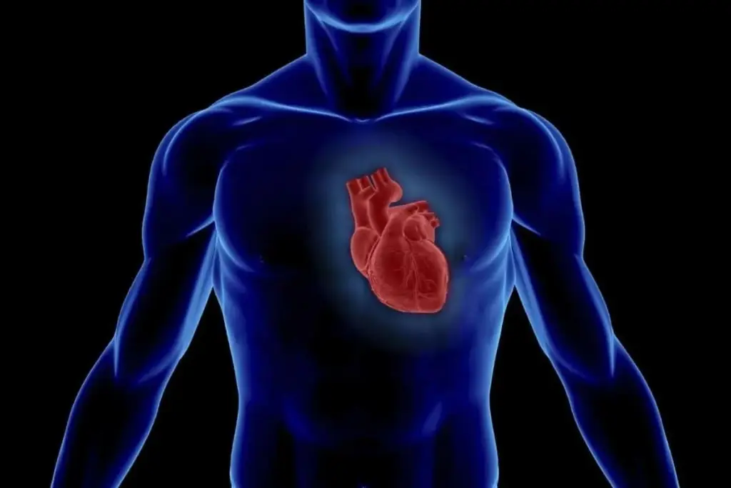 TRANSPLANT CARDIOLOGY