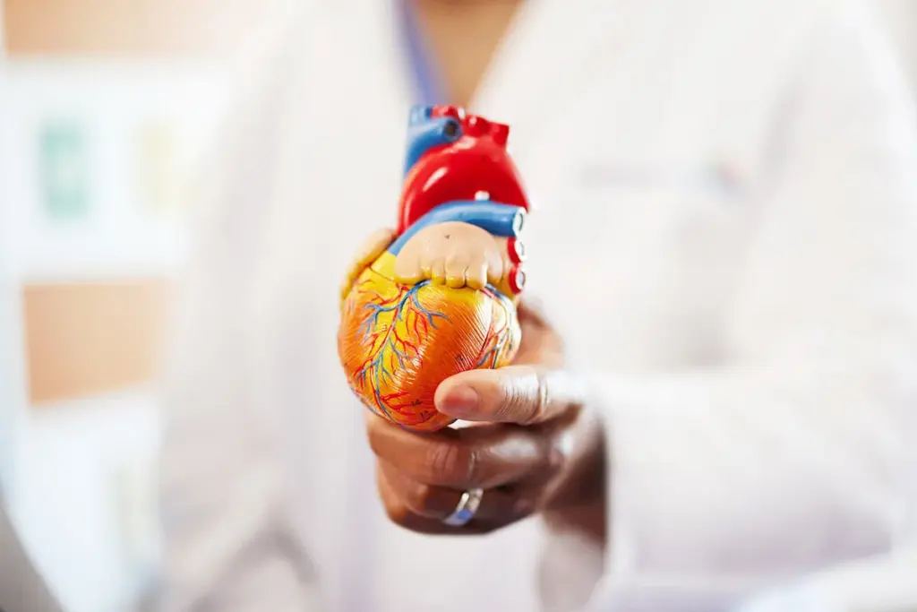 TRANSPLANT CARDIOLOGY