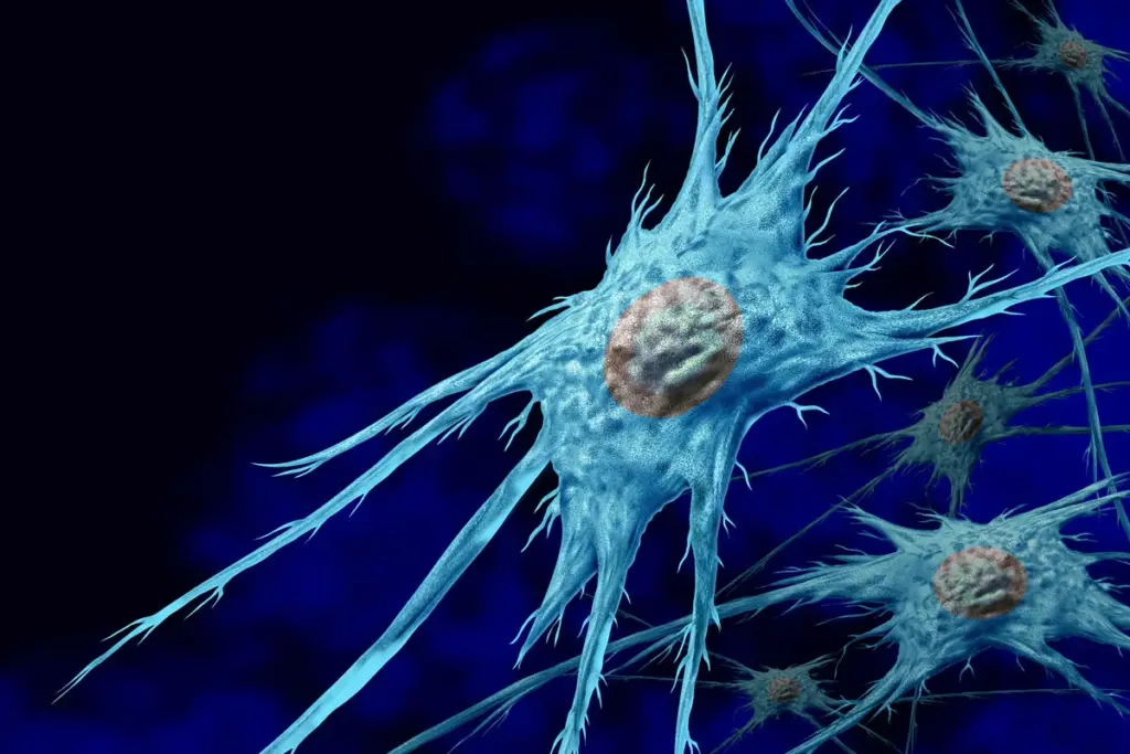 The Neuroendocrine and Cellular Architecture