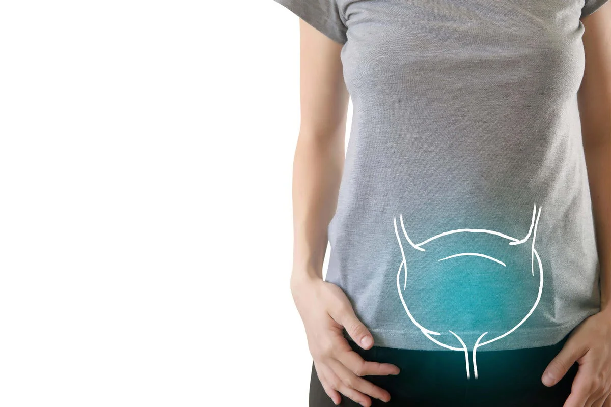 image 15 33 LIV Hospital