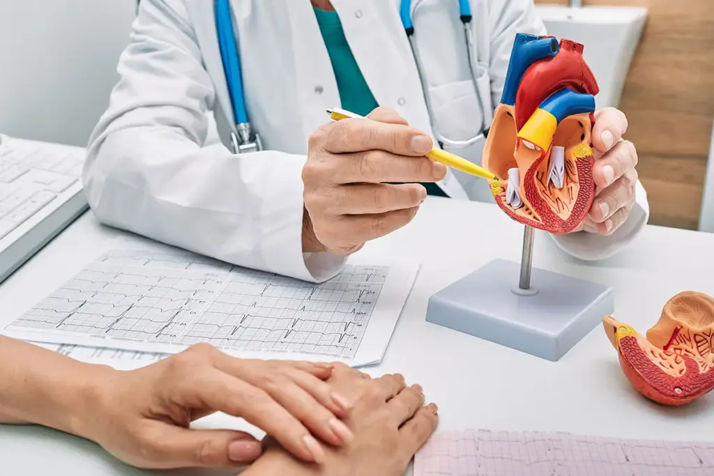 As the pressure in the lungs remains high, it eventually strains the right side of the heart as well. The right side of the heart is responsible for pumping blood into the lungs. When it faces high resistance from the lung congestion caused by mitral stenosis, it can eventually fail. This right-sided heart failure leads to fluid backing up in the body. Patients may notice swelling in their feet, ankles, and legs, a condition known as edema. This swelling often gets worse throughout the day and improves after sleeping with legs elevated. In severe cases, fluid can accumulate in the abdomen, causing bloating and discomfort. The liver may also become congested and enlarged, causing pain in the upper right part of the abdomen. This systemic fluid retention is a sign that the mechanical blockage in the heart is affecting the entire body.