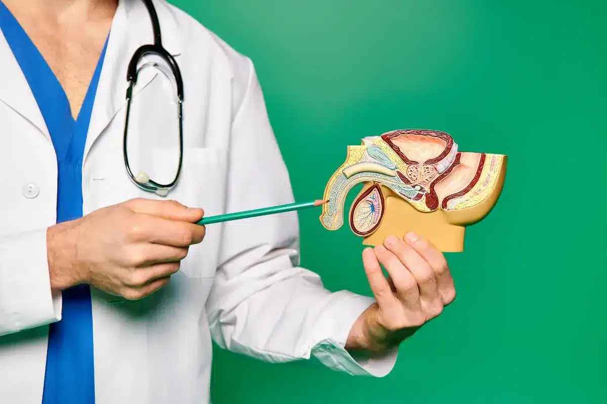 Long-Term Behavioral Maintenance