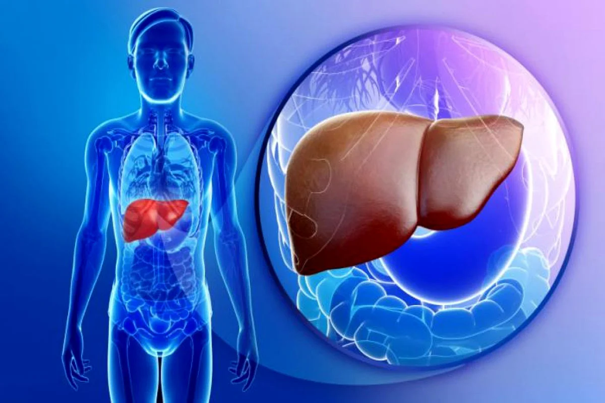 Liver Disease