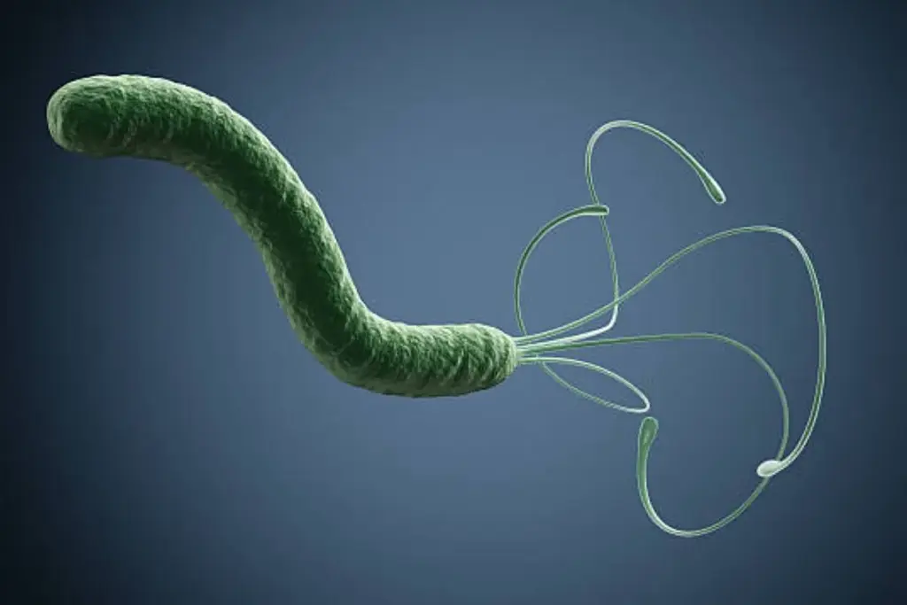 Helicobacter Pylori: The Primary Carcinogen