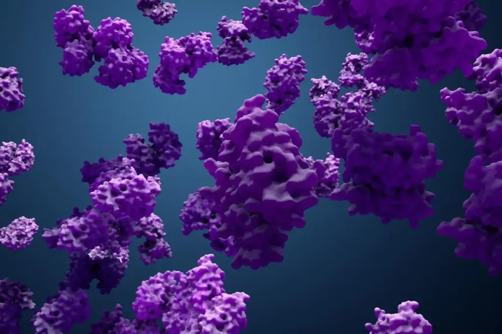 image 2 3507 LIV Hospital