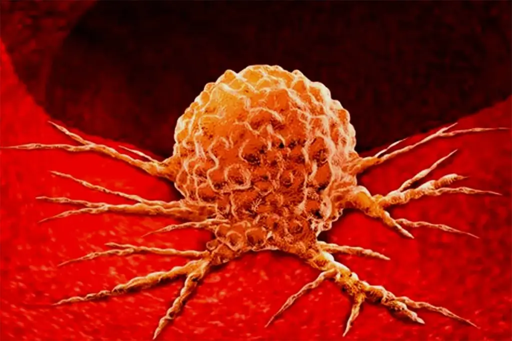 The Regenerative Context and Microenvironment Modulation