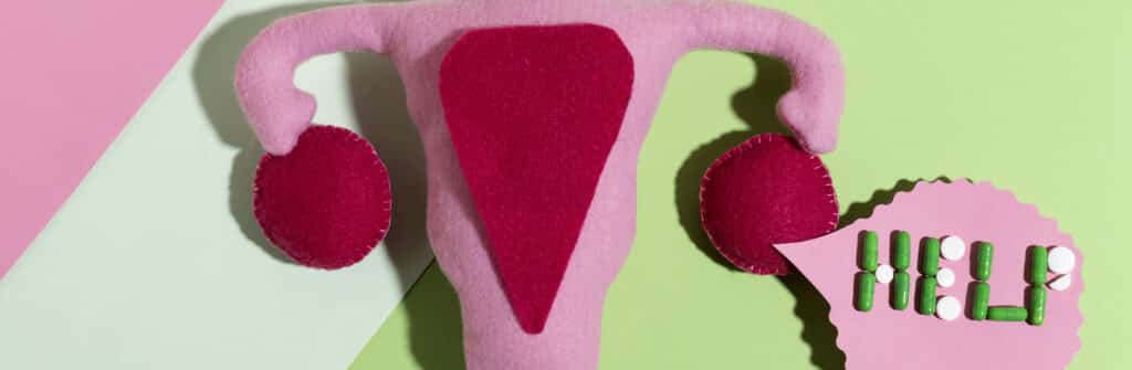 flat lay women reproductive system pills 1 LIV Hospital